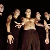 Breed 77 - List pictures