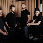 Birdy Nam Nam - List pictures