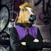 Per Hammar - List pictures