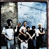 Crazytown - List pictures