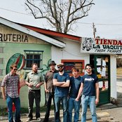 Spider Bags - List pictures