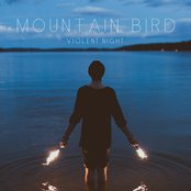 Mountain Bird - List pictures