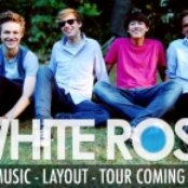 White Rose - List pictures