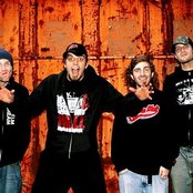 Bigwig - List pictures