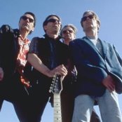 The Fleshtones - List pictures