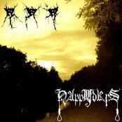 Happy Days - List pictures