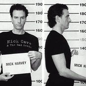 Mick Harvey - List pictures