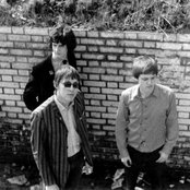 The Cigarettes - List pictures