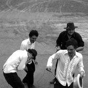 Felice Brothers - List pictures