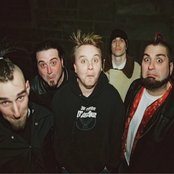 Dog Fashion Disco - List pictures