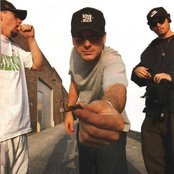 House Of Pain - List pictures