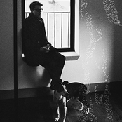 Son Lux - List pictures