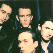 The London Suede - List pictures