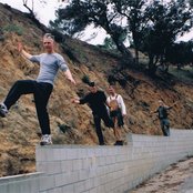 Sleepytime Gorilla Museum - List pictures