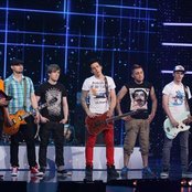 Rotten Bark - List pictures