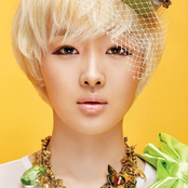 Fat Cat - List pictures