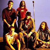 Marea - List pictures