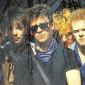 That Petrol Emotion - List pictures