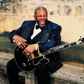 B.b. King - List pictures