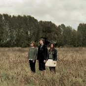 Novella - List pictures