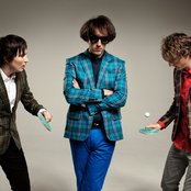 Wombats - List pictures