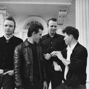 The Blasters - List pictures