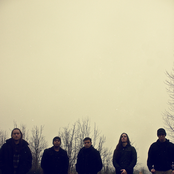 Fallujah - List pictures