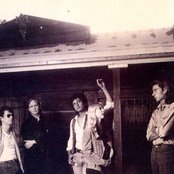 The Textones - List pictures