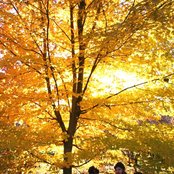 Passion Pit - List pictures