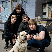 Dominic - List pictures