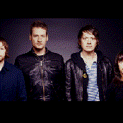 The Whip - List pictures