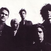 Wall Of Voodoo - List pictures