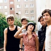 Panda - List pictures