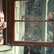 Joni Mitchell - List pictures