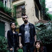 Eruca Sativa - List pictures