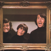 Monkeys - List pictures