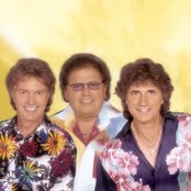 Die Flippers - List pictures