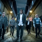 Iris - List pictures