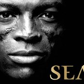 Seal - List pictures