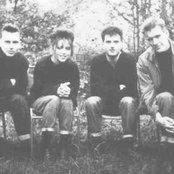 The Sundays - List pictures