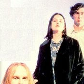 Auteurs - List pictures