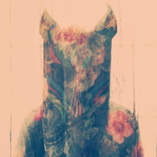 Slow Magic - List pictures