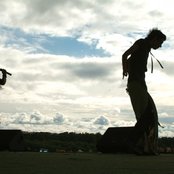 Vena - List pictures