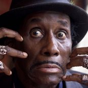 Screamin' Jay Hawkins - List pictures