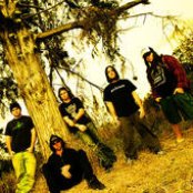 The Autumn Offering - List pictures