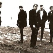 The Sonics - List pictures