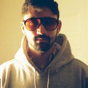 Serengeti - List pictures