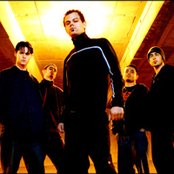 32 Leaves - List pictures