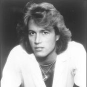 Andy Gibb - List pictures