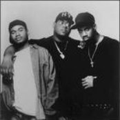 Original Flavor - List pictures